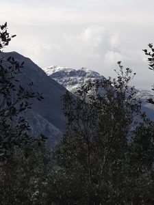 IMG-20191116-WA0023