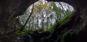 IMG-20191117-WA0061