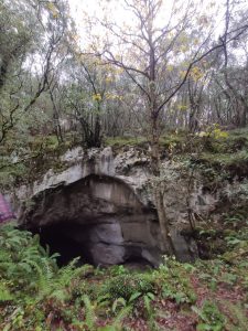 IMG-20191118-WA0055