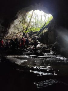 IMG-20191118-WA0060