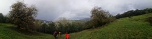 IMG_20191116_145001-1